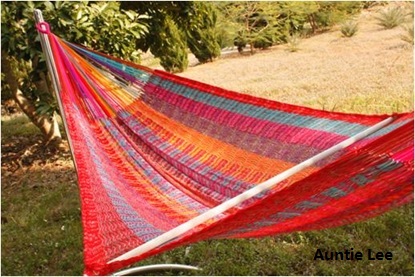 v weave hammock auntie